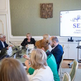 Zákon má chránit děti. Odborníci při debatě v Senátu varovali před dopady rozvodové novely