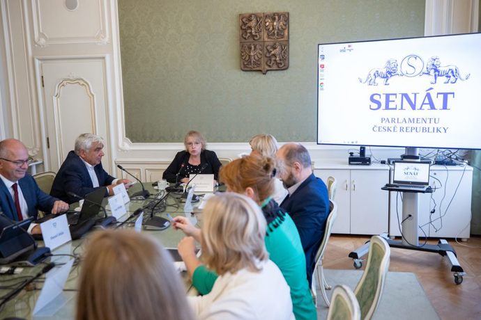 Zákon má chránit děti. Odborníci při debatě v Senátu varovali před dopady rozvodové novely