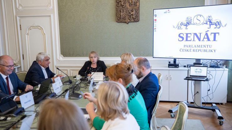 Zákon má chránit děti. Odborníci při debatě v Senátu varovali před dopady rozvodové novely