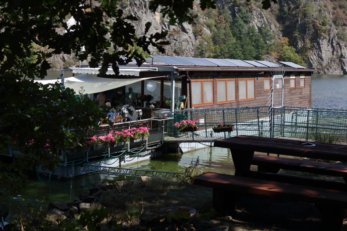 Hausbót na první pohled zaujme i květinami, které tady Helena pěstuje v truhlících.