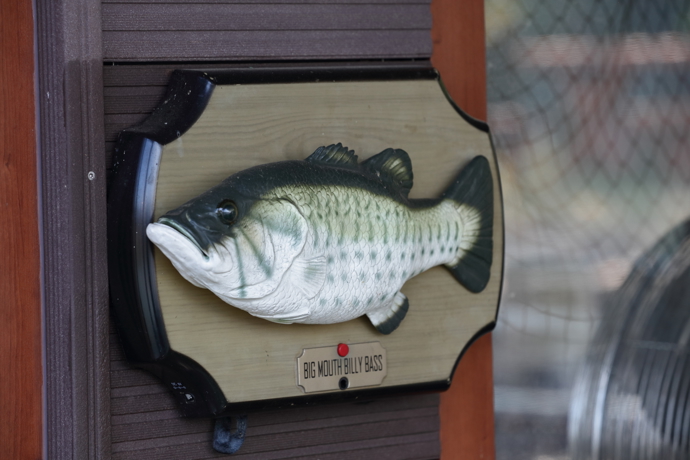 Tato ryba se nachází u vstupu do interiéru hausbótu. Podle Heleny Vondráčkové je to hlavně oblíbená vítací ryba pro děti, Když zmáčknete tlačítko, zpívá píseň Don't worry, be happy.