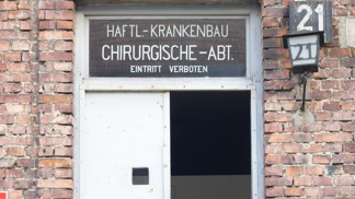 Děsivé svědectví Anny Seeman: V Osvětimi umírali na ošetřovně novorozenci bez péče i dozoru, obětí bylo téměř 7 tisíc