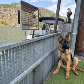 Hausbót hlídá mladá fenka Jessie, která je novým psím přírůstkem v rodině od letošního jara.