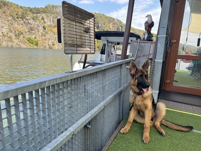 Hausbót hlídá mladá fenka Jessie, která je novým psím přírůstkem v rodině od letošního jara.