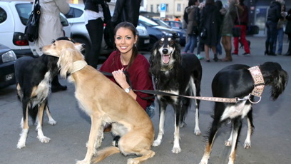 FOTO: Petra Pudová  je majitelkou několika perských chrtů neboli saluki a velmi úspěšné chovatelské stanice Al Zahra.