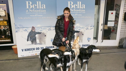 FOTO: Petra Pudová  je majitelkou několika perských chrtů neboli saluki a velmi úspěšné chovatelské stanice Al Zahra.