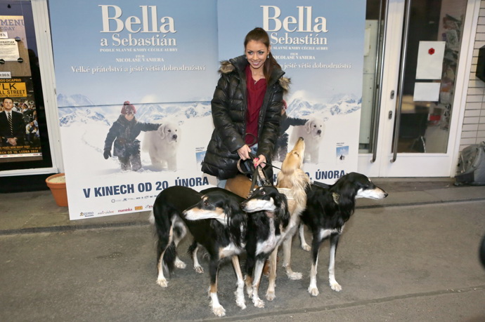 Petra Pudová  je majitelkou několika perských chrtů saluki a velmi úspěšné chovatelské stanice Al Zahra.