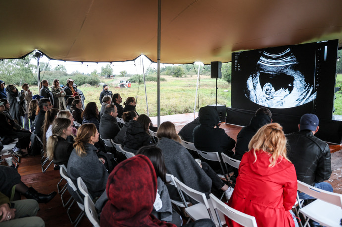 Kotek šel až ke svému narození.