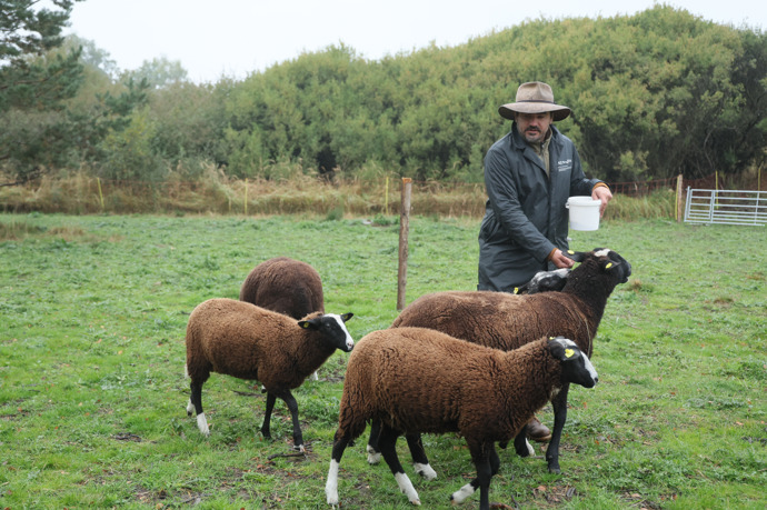 Vojtovy ovce jsou naučené chodit přímo za ním.