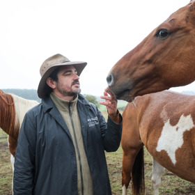 Koně Vojtěcha Kotka.