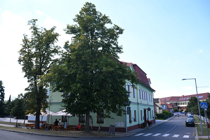 Davidova nová restaurace U Jelena.