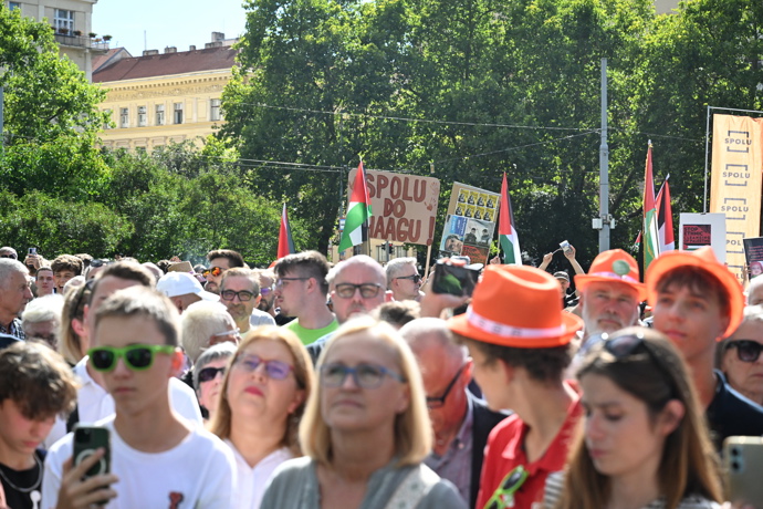 Vlajky a transparenty v rukou demonstrantů.
