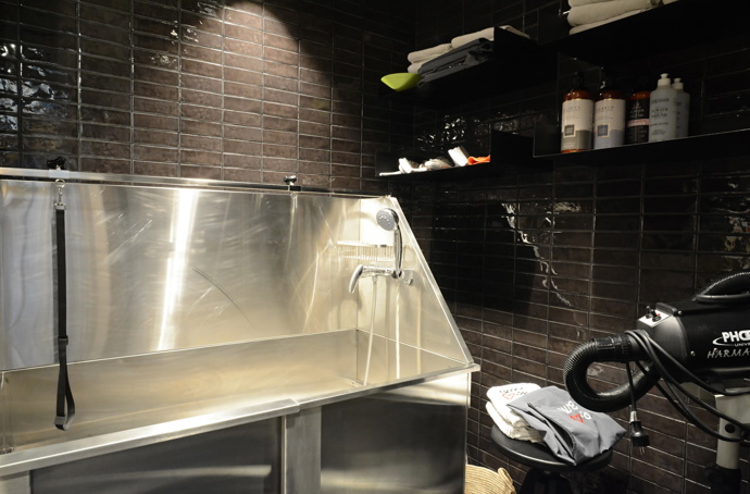 We love dogs: Prémiový butik pro psy a kočky otevírá v Praze 7 