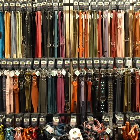 We love dogs: Prémiový butik pro psy a kočky otevírá v Praze 7 