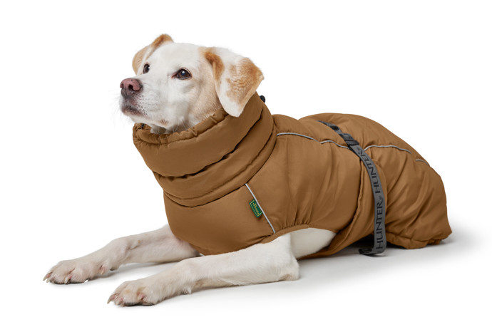 We love dogs: Prémiový butik pro psy a kočky otevírá v Praze 7 