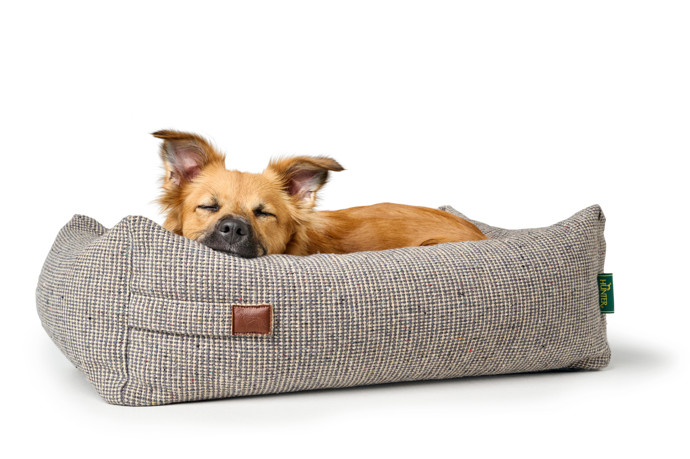 We love dogs: Prémiový butik pro psy a kočky otevírá v Praze 7 