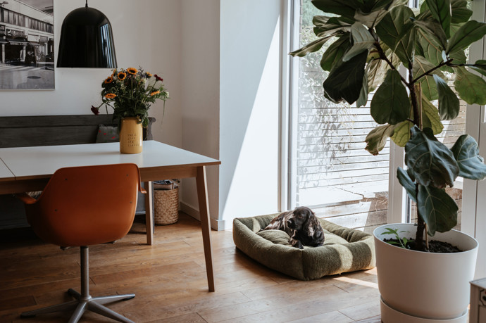 We love dogs: Prémiový butik pro psy a kočky otevírá v Praze 7 