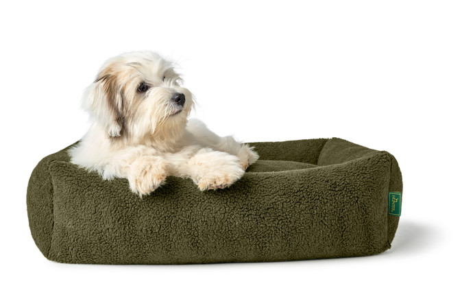 We love dogs: Prémiový butik pro psy a kočky otevírá v Praze 7 