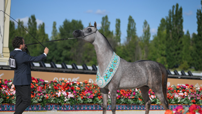 FOTO: GCAT PRAGUE 2025