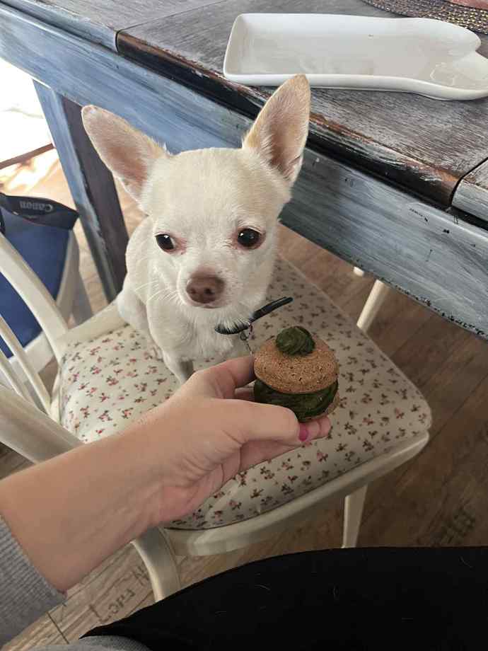 Čenda má s místními dortíčky už mnoho zkušeností. 