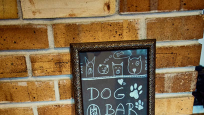 FOTO: Restaurace nezapomíná ani na psí miláčky.