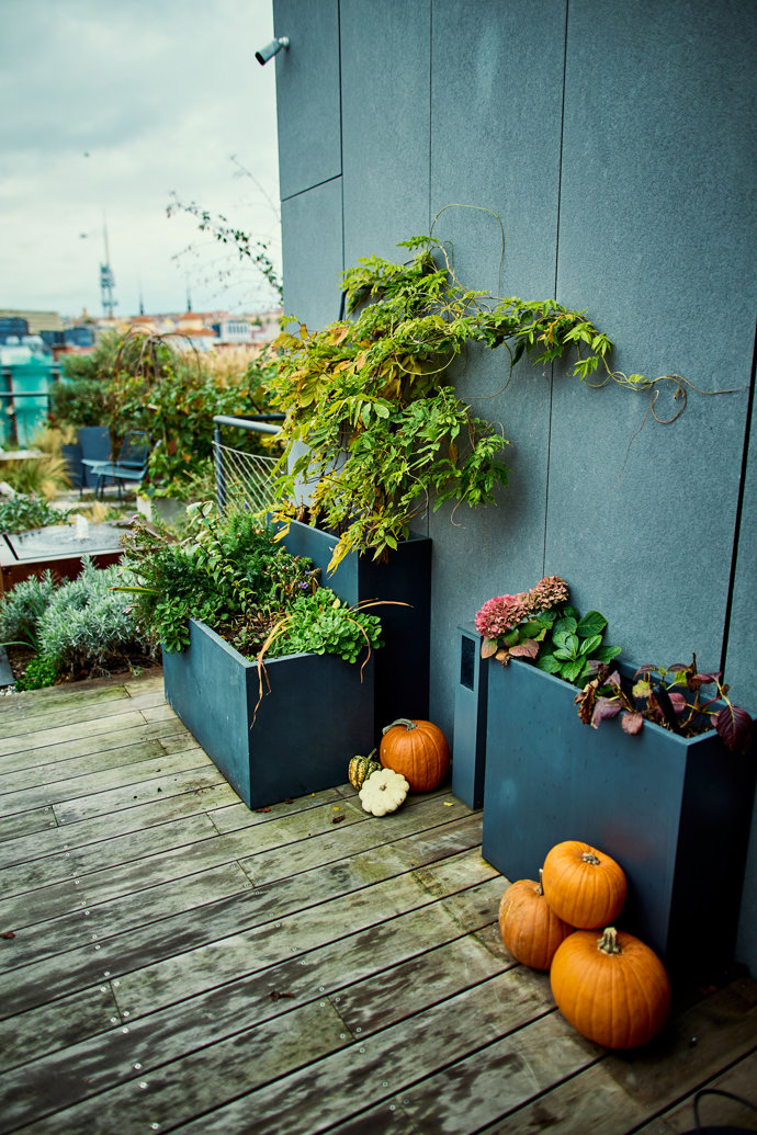 Výzdoba v podobě dýní nemohla chybět.