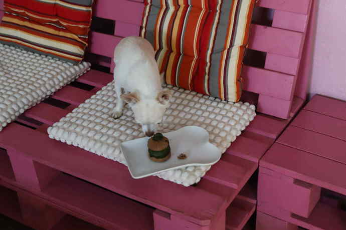 Svůj haffin Čenda neustále ochutnával. 