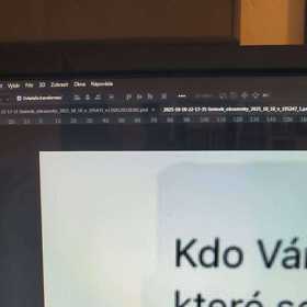 Údajné příspěvky, které měl Turek zveřejnit, vypadají poněkud podivně.