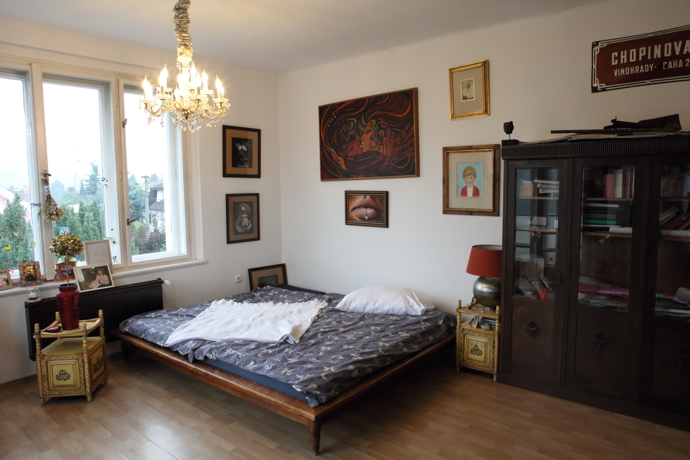 Pracovna slouží i jako příležitostná ložnice.