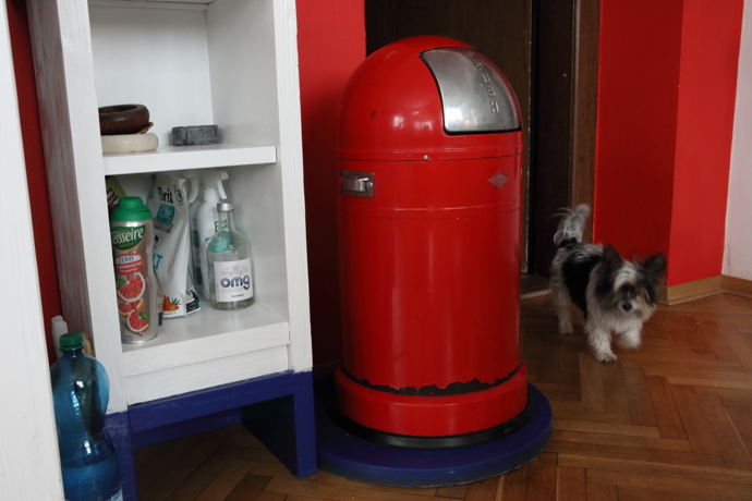 Samozřejmě je červený i odpadkový koš - vykukuje jeden z Bářiných pejsků.