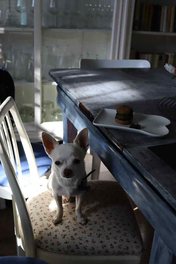 Čenda si pracovní návštěvu cukrárny jak se patří užíval. 