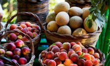 Tři znamení zvěrokruhu, která si ovoce a zeleninu vypěstují raději doma. Býk pro požitek, Panna pro kontrolu, Rak z lásky