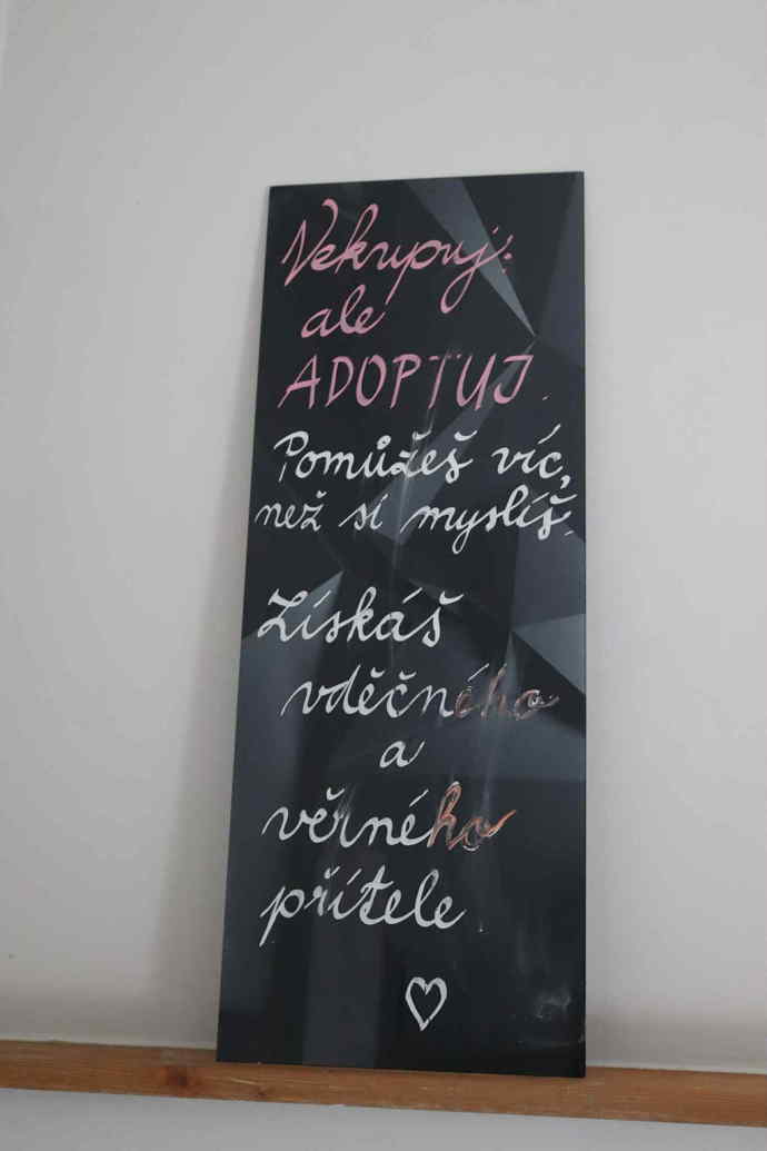 Cukrárna je vyzdobená tabulemi, které apelují na adopci pejsků z útulků. 