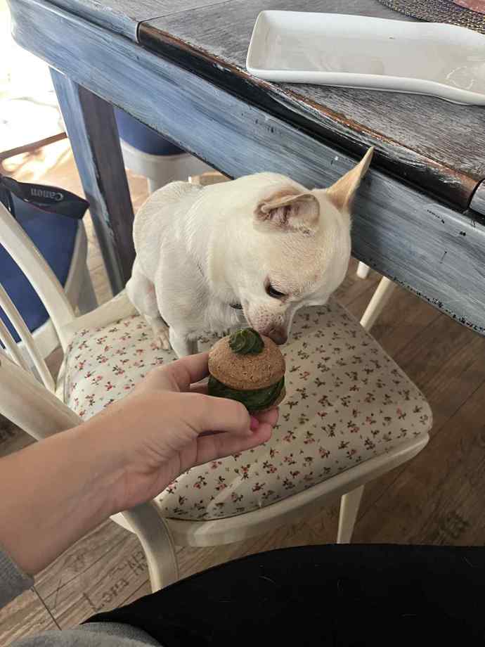 Do testování tohoto zeleného haffinku se pustil s velkou chutí. 