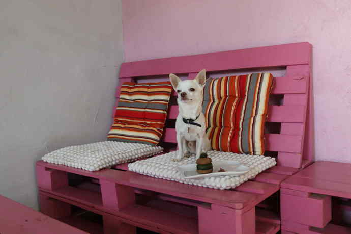 Čenda neodolal a zapózoval také na růžovém sezení. 