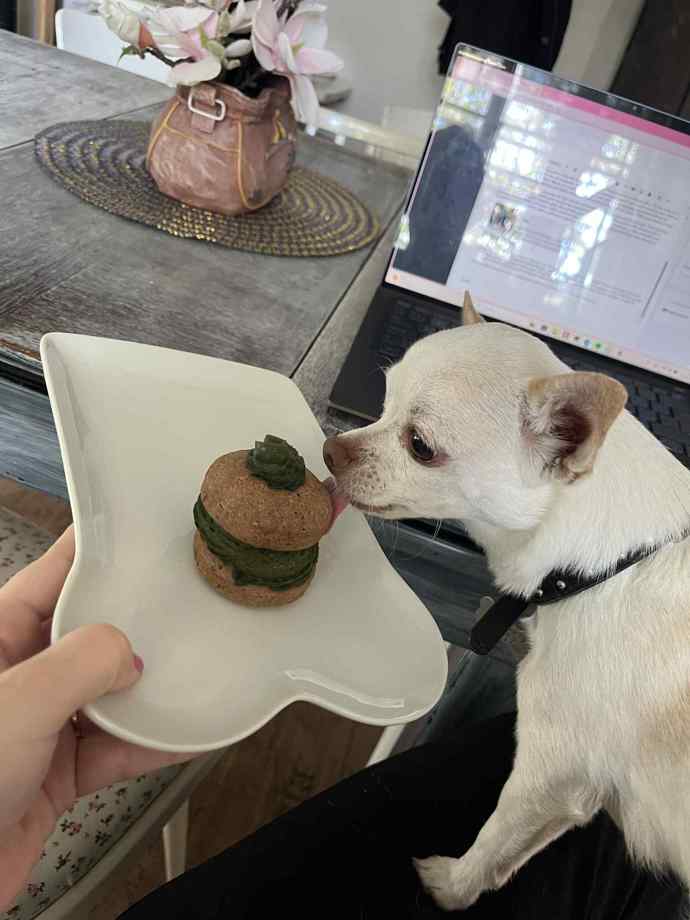 Malý psí haffin vyjde na 25 korun. 