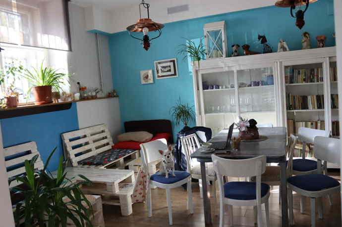 Interiér je přívětivý a vyzdobený psími soškami či zvířecími motivy. 