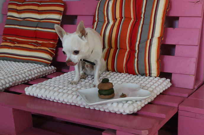 Nejvíce si Čenda oblíbil "krémovou" část, kterou tvořil obarvený neslaný sýr. 