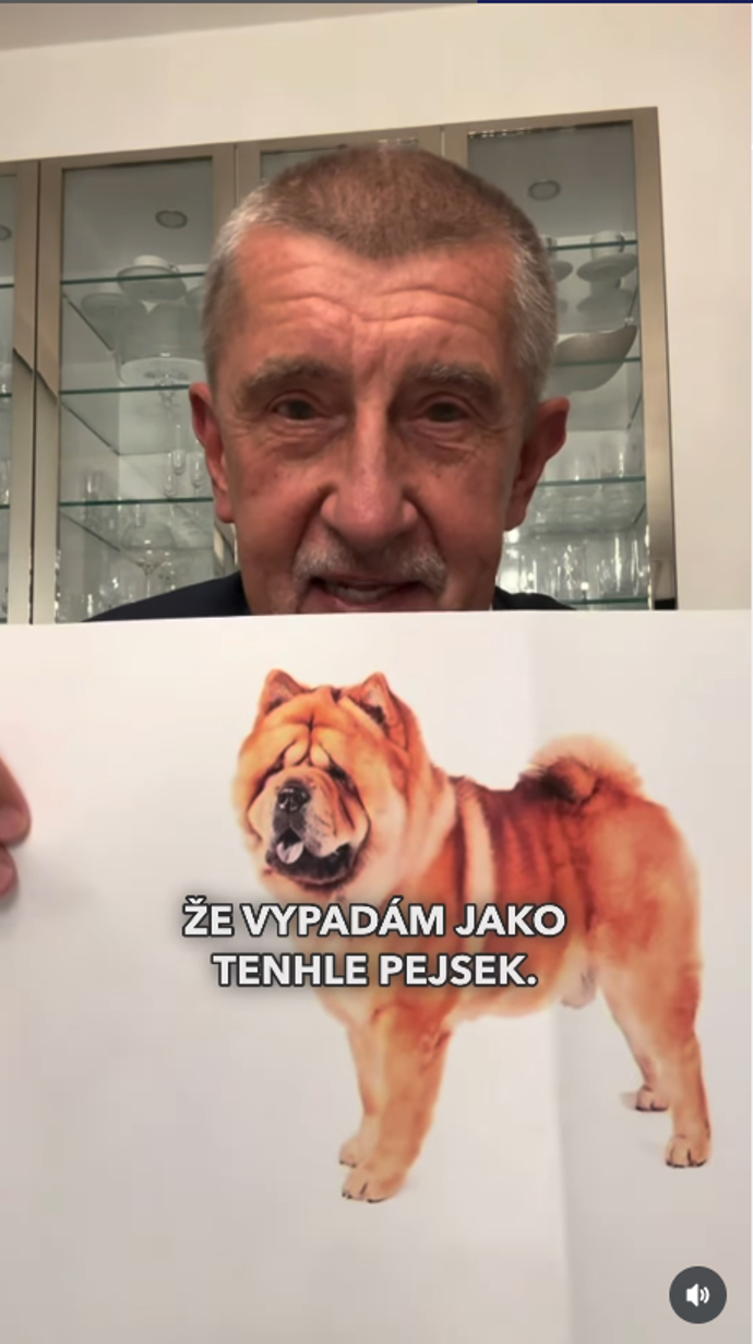 Andrej Babiš se přirovnal k psovi Čau Čau.