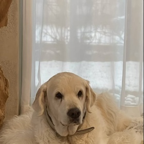 Elinka rodině dělala radost. 