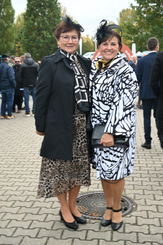 Velká pardubická 2025. 
