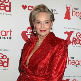 Herečka Sharon Stone přišla o veškeré peníze v roce 2001, kdy prodělala mrtvici a finanční poradci prohýřili její úspory v rizikových investicích.