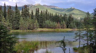 Tragická smrt v divočině: Carl McCunn přišel o život kvůli tomu, že nedokázal dát pilotovi letadla správný signál