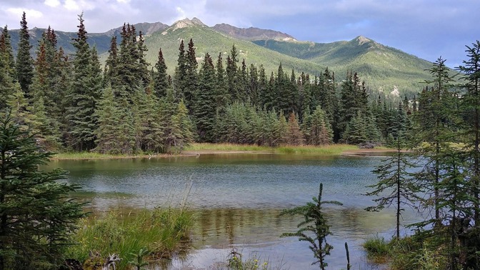 Tragická smrt v divočině: Carl McCunn přišel o život kvůli tomu, že nedokázal dát pilotovi letadla správný signál