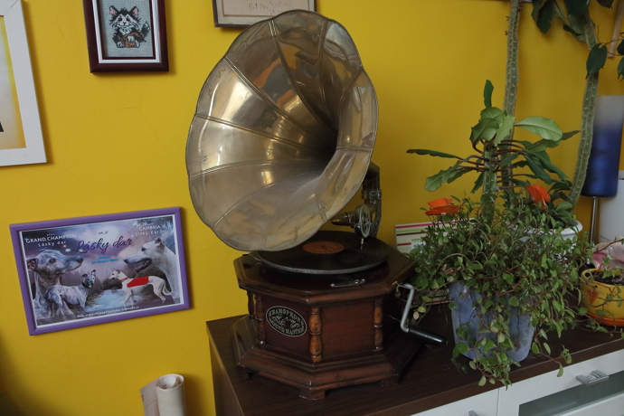 Replika klasického gramofonu s troubou, který dosal Aleš od Michala k narozeninám.