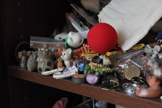 Jedna skříň je plná čamrňáků, dárků pro Aleše od fandů a fanynek.