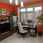 Pohled na pracovnu Michala Jagelky