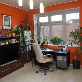 Pohled na pracovnu Michala Jagelky