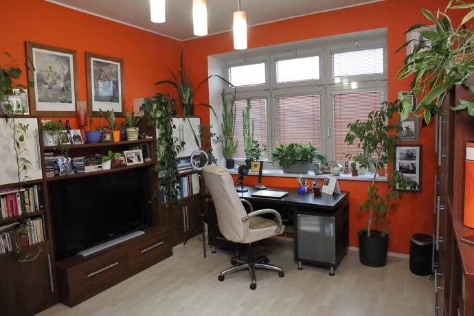 Pohled na pracovnu Michala Jagelky