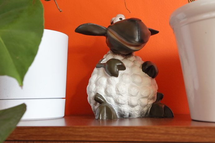 Ovečka Shaun, kterou mají Michal i Aleš moc rádi.